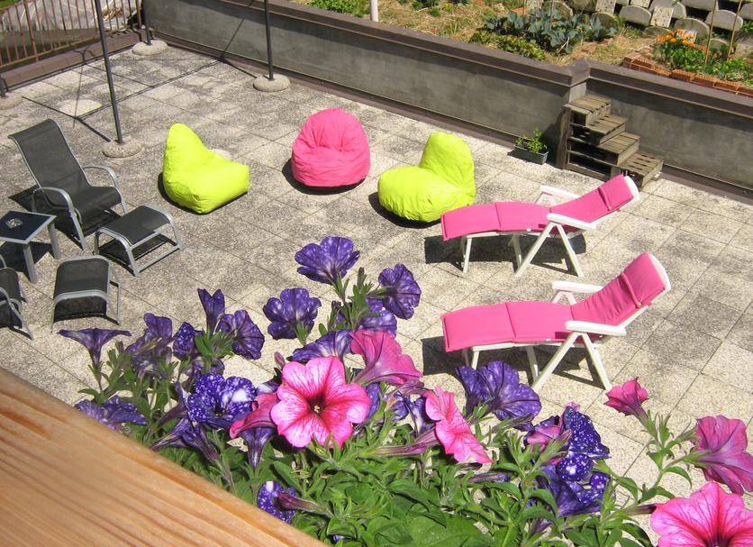 Patio Zdjęcie
