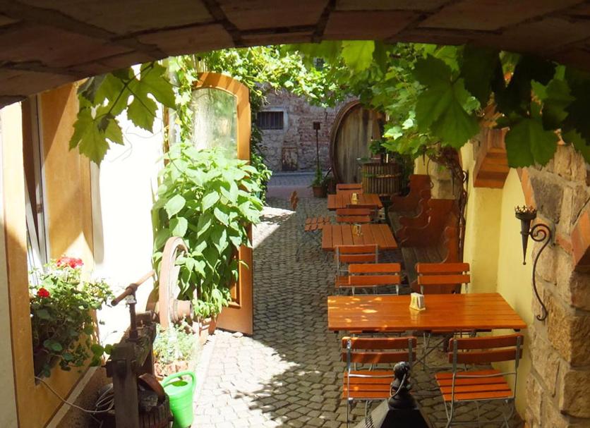 Patio Zdjęcie