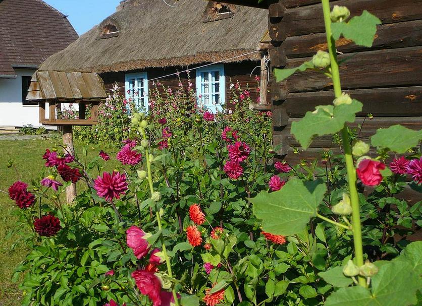 Widok na zewnątrz Zdjęcie
