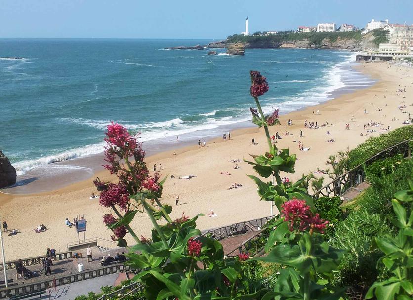 Plaża Zdjęcie