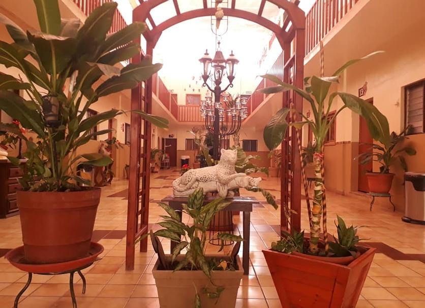 Lobby Zdjęcie