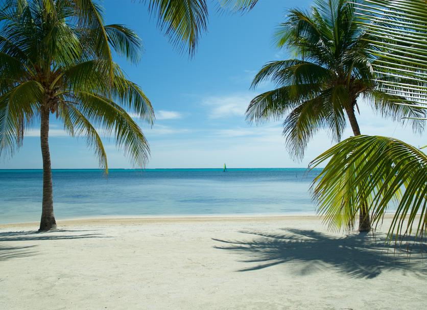 Plaża Zdjęcie