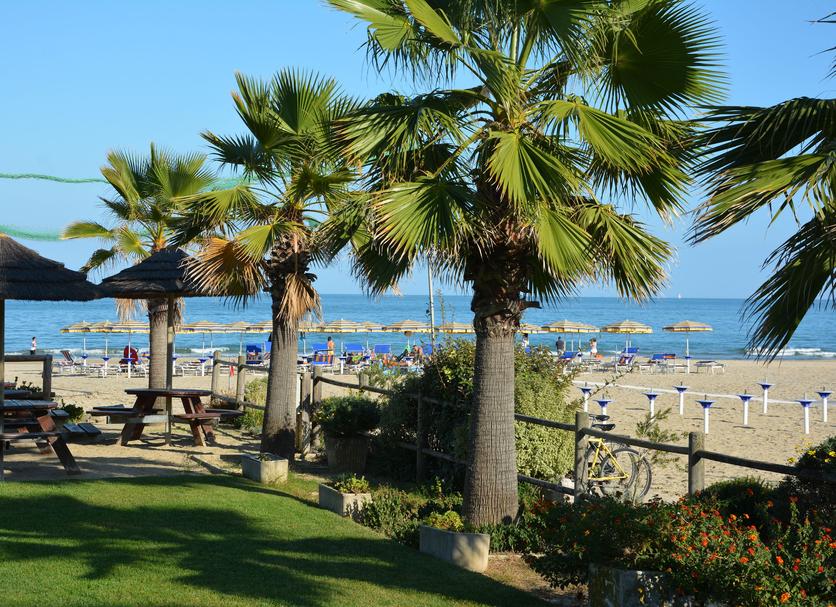 Plaża Zdjęcie